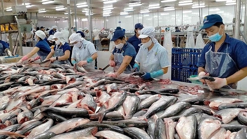 泰国增加从越南的查鱼进口