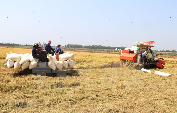 中国媒体 ：RCEP给越南农产品出口带来哪些机遇？