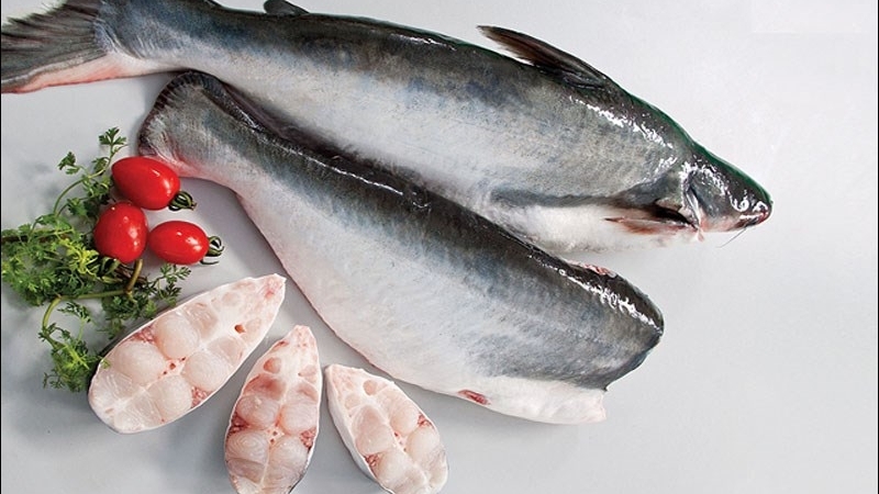 越南查鱼出口世界上140多个市场