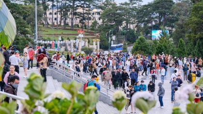 大叻市和芒街市吸引众多游客前来春游
