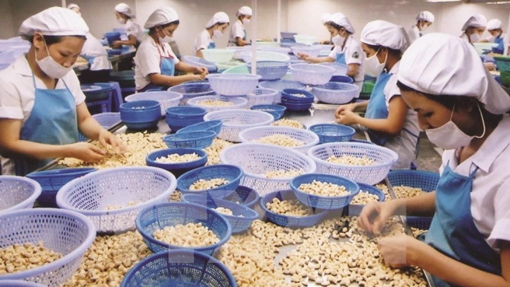 与中国接壤的越南各地已推进商品进出口活动，其中主力是农产品