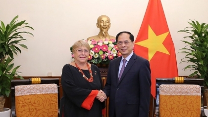 越南与智利政治互信日益得到加强