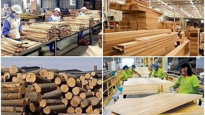 努力开拓潜在的国内木材市场 考虑到细分市场