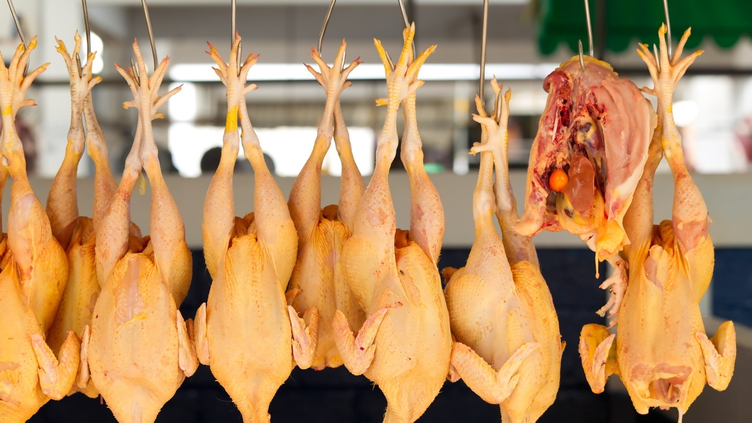 第一批加工鸡肉成功“征服”日本市场