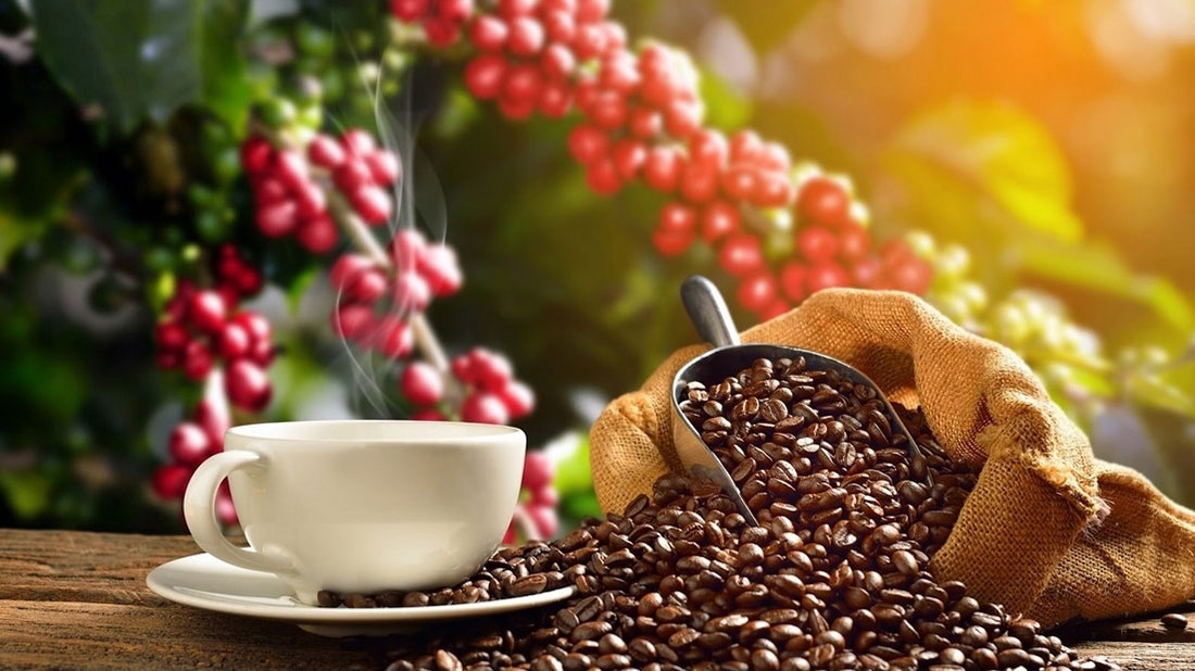 今年前9月，越南咖啡对西班牙出口量达7.17万吨