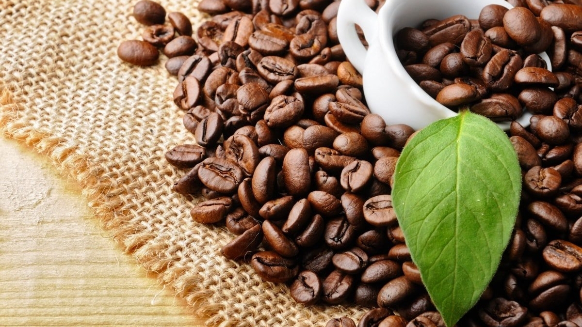 越南咖啡出口量约达150万吨