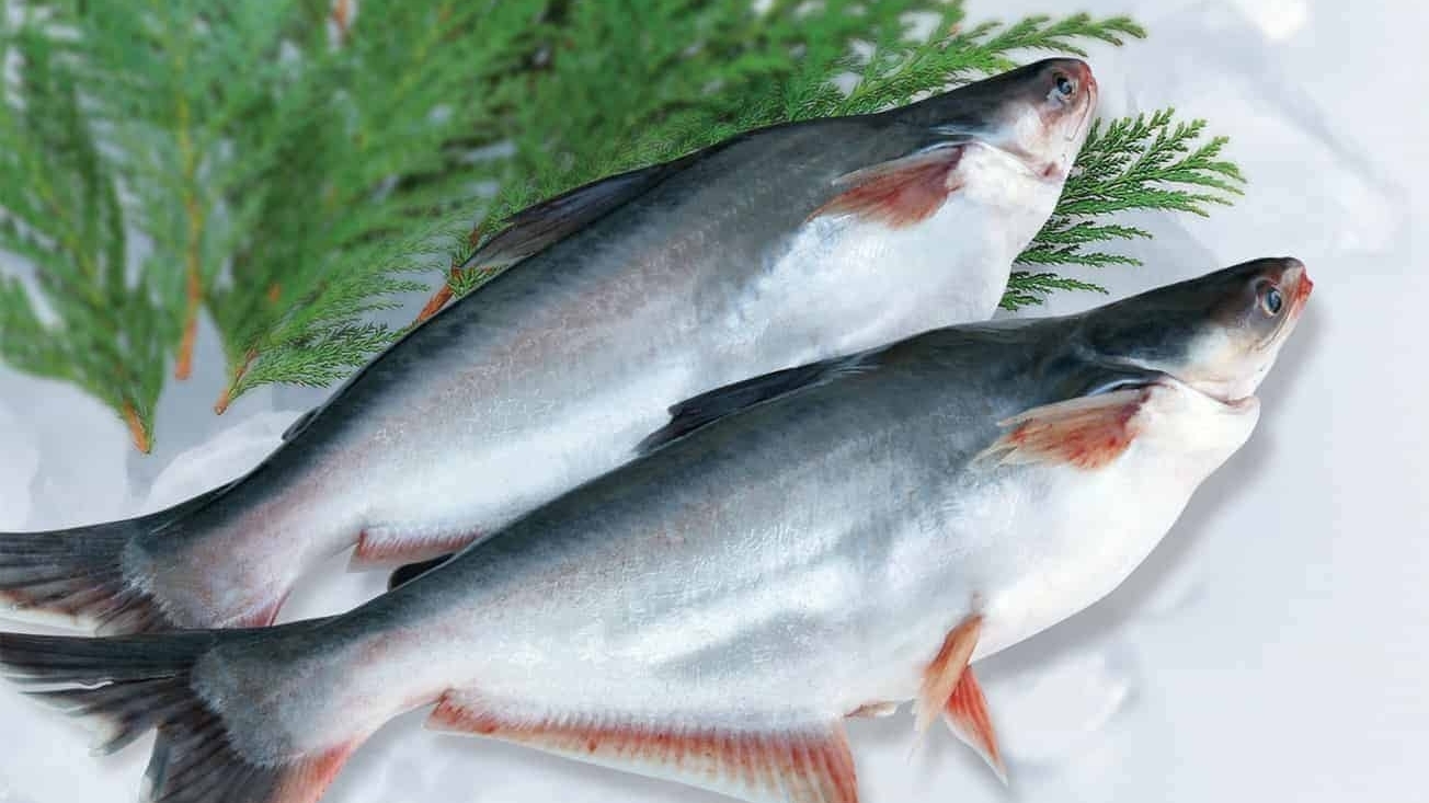今年 10 月份越南楂鱼出口额约为 1.83 亿美元