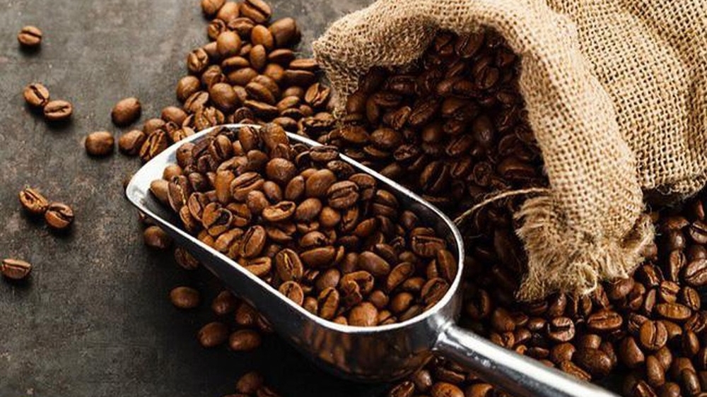 越南咖啡出口保持良好增长势头