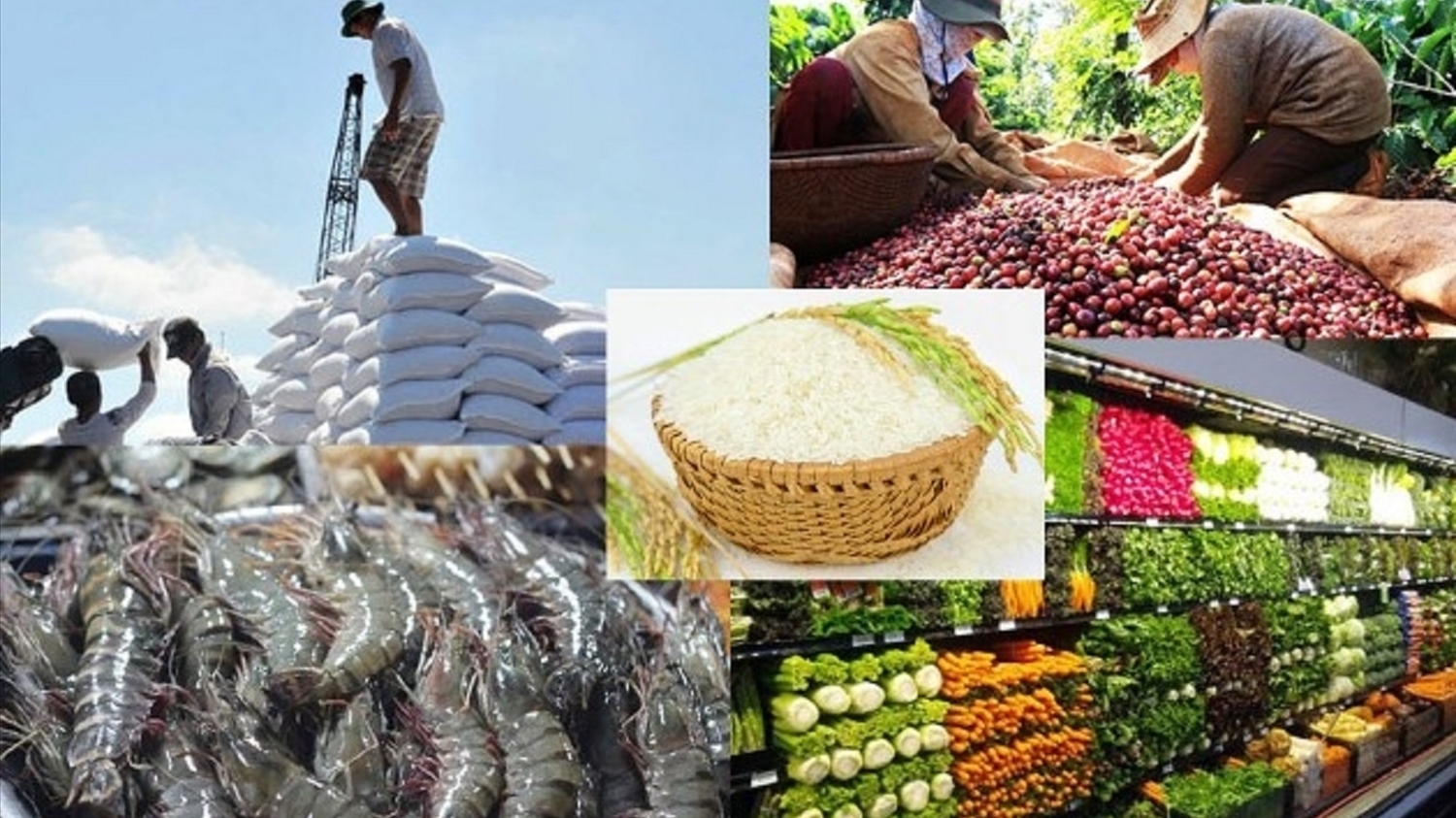 中国是越南农林水产品的第二大出口市场