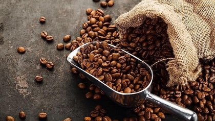越南咖啡对韩国的出口迎来新一轮增长机会