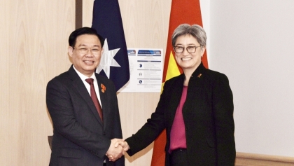 越南国会主席王廷惠会见澳大利亚外交部长和澳越友好议员会小组