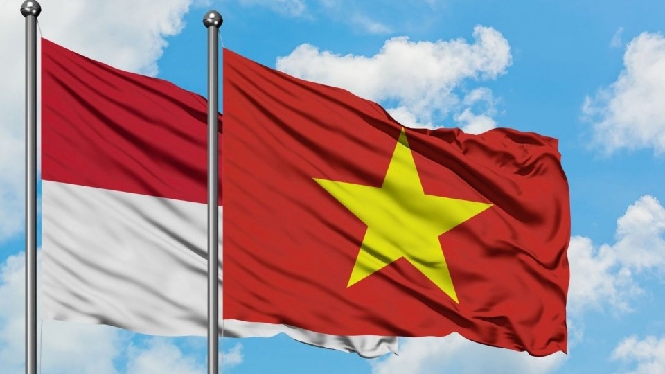 越南与印尼都正寻找新方式来加强合作与友好关系