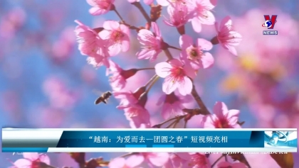 “越南：为爱而去—团圆之春”短视频亮相