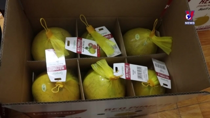 越南首批柚子通过正贸渠道出口到美国